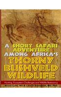 Short Safari adventure among Africa's thorny Bushveld wildlife