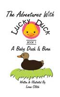 Adventures With Lucky Duck: A Little Duck is Born(1 Book)