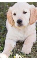 Golden Retriever Puppy Journal