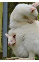 Sweet Mom and Baby Albino Wallaby and Joey Animal Journal: 150 Page Lined Notebook/Diary