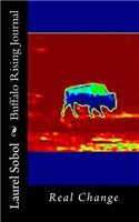 Buffalo Rising Journal