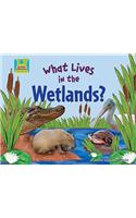 What Lives in the Wetlands?