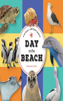 Animal Adventures: Day in the Bay