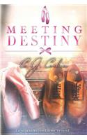 Meeting Destiny