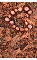 Chestnut Heart in the Leaves Journal: Take Notes, Write Down Memories in this 150 Page Lined Journal