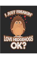 I Just Freakin' Love Hedgehogs Ok?: Wide Ruled Composition Notebook Journal V2