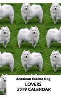 American Eskimo Dog Lovers 2019 Calendar