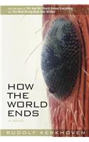 How the World Ends