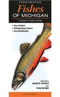 Freshwater Fishes of Michigan