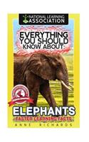 Everything You Should Know About: Elephants Faster Learning Facts