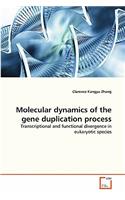 Molecular dynamics of the gene duplication process