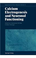 Calcium Electrogenesis and Neuronal Functioning