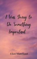 I Was Going to Do Something Important...
