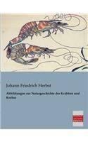Abbildungen Zur Naturgeschichte Der Krabben Und Krebse