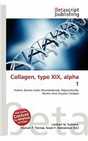Collagen, Type XIX, Alpha 1