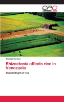 Rhizoctonia affects rice in Venezuela