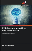 Efficienza energetica, che strada fare
