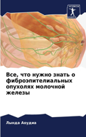 Все, что нужно знать о фиброэпителиальных &#10