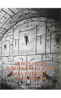 Il Paesaggio Suburbano Di Roma Dall'antichita Al Medioevo