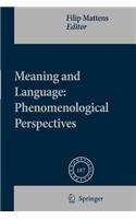 Meaning and Language: Phenomenological Perspectives: (187 Phaenomenologica)