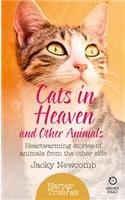 Cats in Heaven