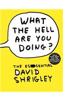 What the Hell Are You Doing?: The Essential David Shrigley