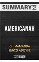 Summary of Americanah