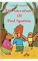 Adventures Of Paul Sparrow