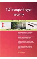 TLS transport layer security Standard Requirements