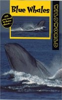 Blue Whales