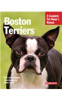 Boston Terriers