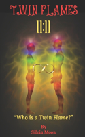 Questions Twin Flame Newbies Ask: Signs of Meeting a Twin Flame