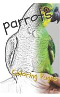 Parrot Coloring Pages: Beautiful Parrots Drawings for Kids and for Adults Relaxation