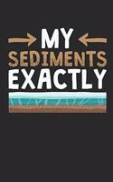 My Sediments Exactly: Geology Journal, Geologist Blank Paperback Notebook to Write In, 150 Pages, College Ruled