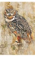 Owl Draw and Write Sketchbook Journal