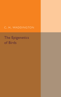 The Epigenetics of Birds