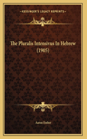 The Pluralis Intensivus In Hebrew (1905)