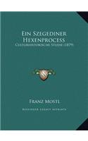 Ein Szegediner Hexenprocess