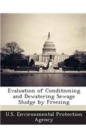 Evaluation of Conditioning and Dewatering Sewage Sludge by Freezing