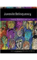 Juvenile Delinquency: Theory, Practice, and Law, Loose-Leaf Version