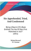 Sin Apprehended, Tried, And Condemned