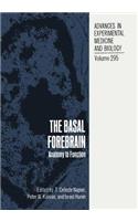 Basal Forebrain