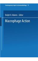 Macrophage Activation