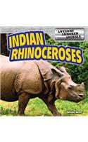 Indian Rhinoceroses