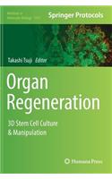 Organ Regeneration