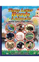 Three Letter Word Animals with Pictures