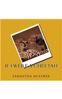 If I Were a Cheetah: Cheetahs