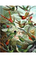 Botanical Notebook Collection