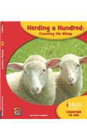 Herding a Hundred: Counting the Sheep