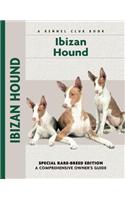 Ibizan Hound